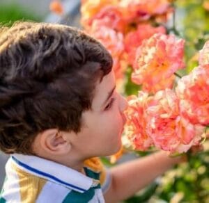 boy smelling roses embracing mindfulness