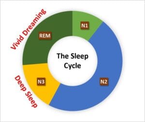 Sleep Cycle graph